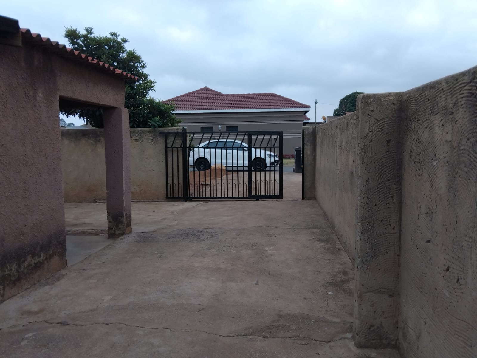 WhatsApp Image 2026-03-17 at 7.01.31 PM