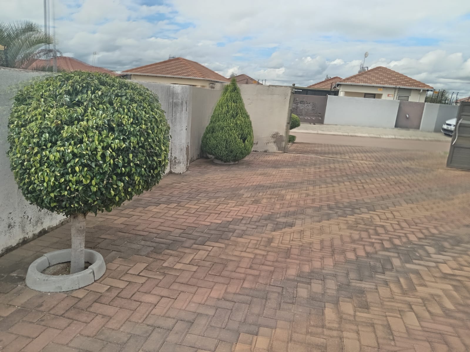 WhatsApp Image 2026-03-25 at 8.00.08 AM (3)