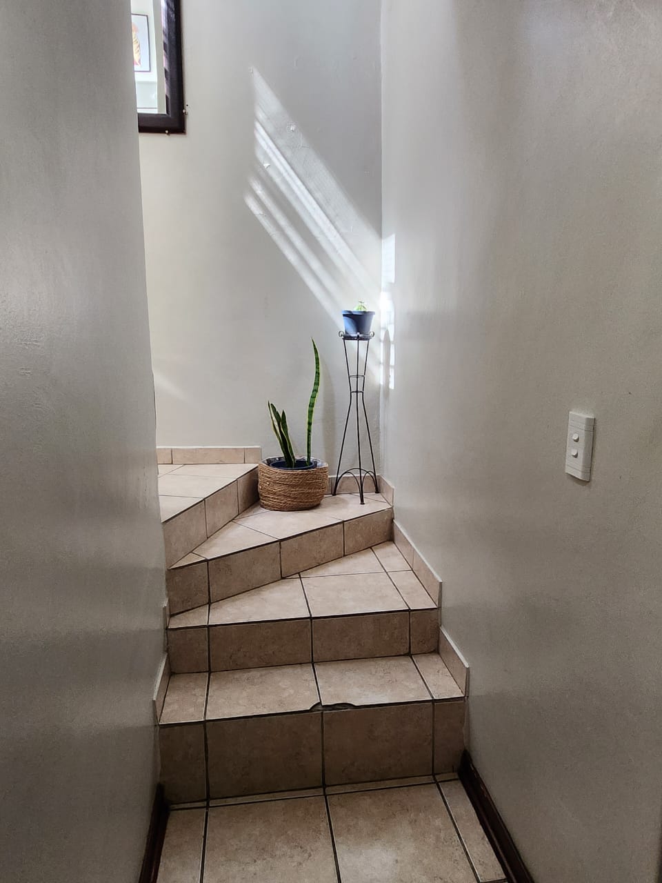 WhatsApp Image 2026-03-31 at 11.04.29 AM (1)