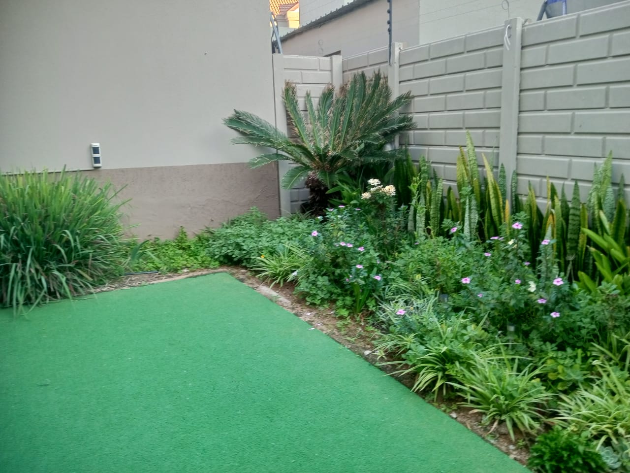 WhatsApp Image 2026-03-31 at 11.04.32 AM