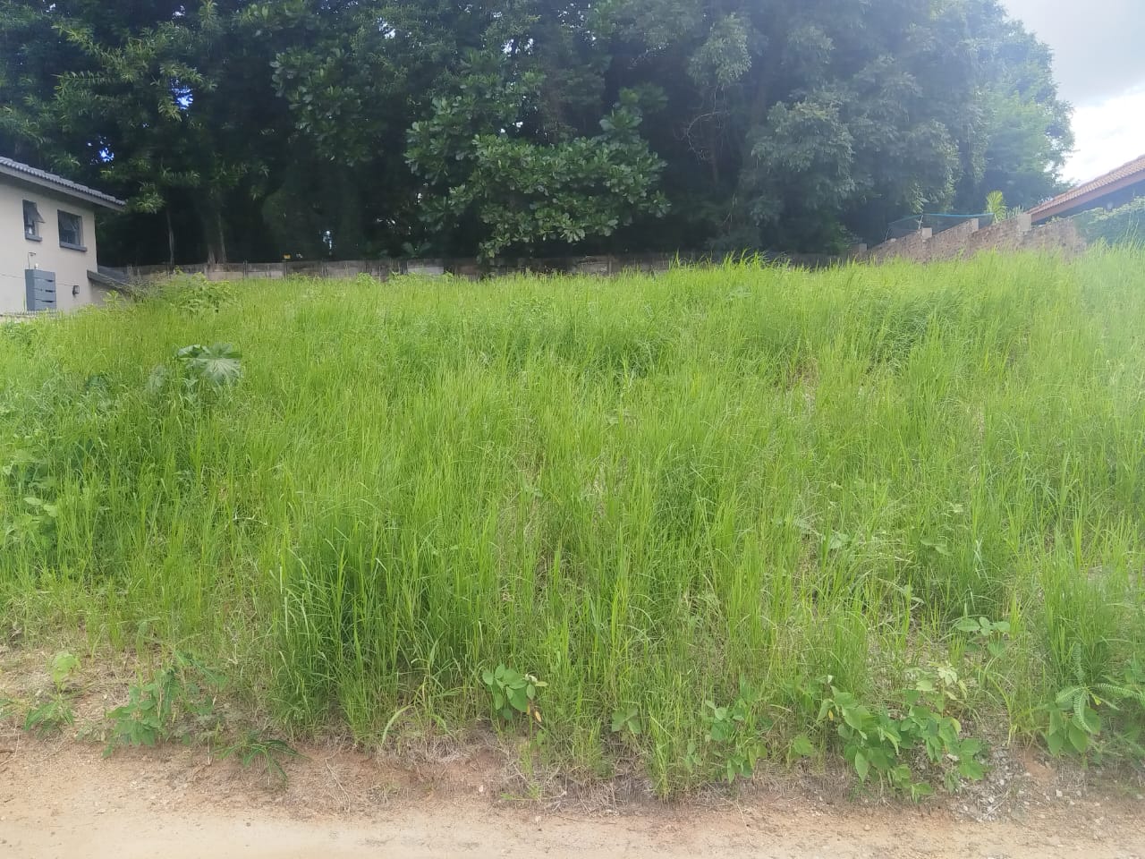 WhatsApp Image 2026-05-12 at 9.11.07 AM (2)