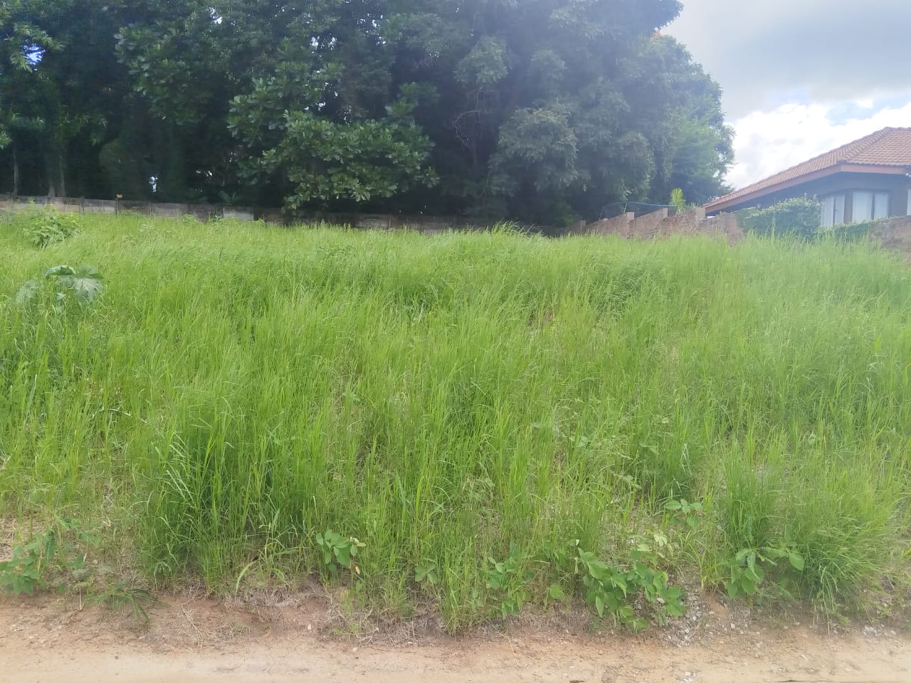 WhatsApp Image 2026-05-12 at 9.11.07 AM