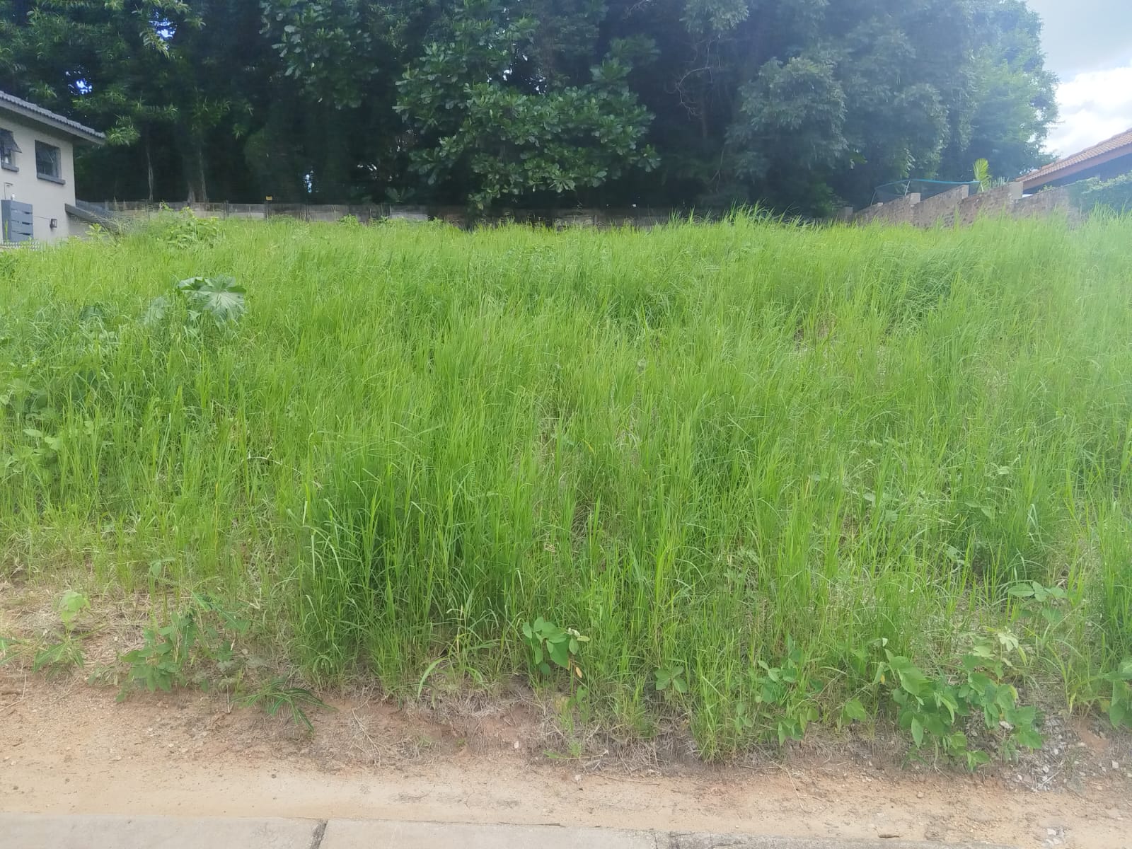 WhatsApp Image 2026-05-12 at 9.11.08 AM (1)